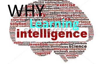 why learning inteligence